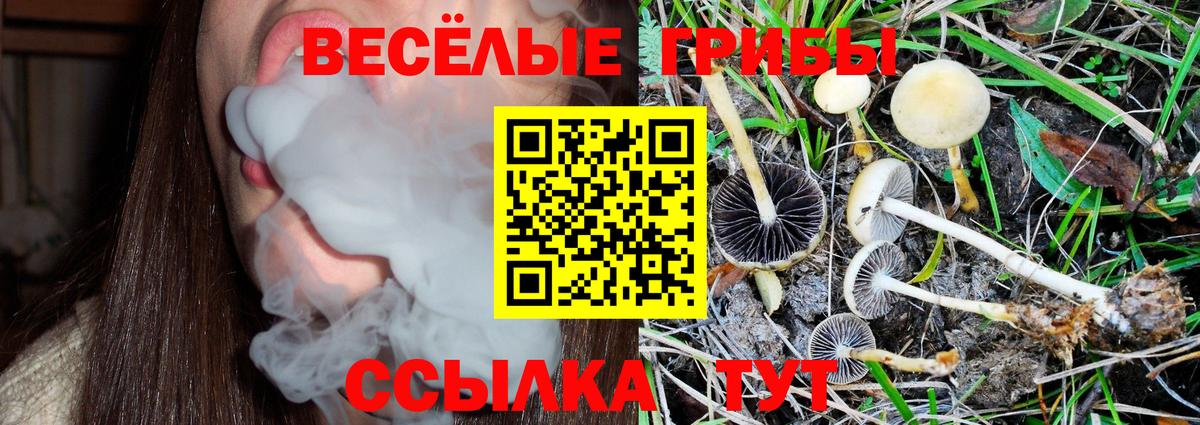 Галлюциногенные грибы Psilocybine cubensis  Галлюциногенные грибы MAGIC MUSHROOMS  как найти закладки  Вход с VPN  Кинешма 